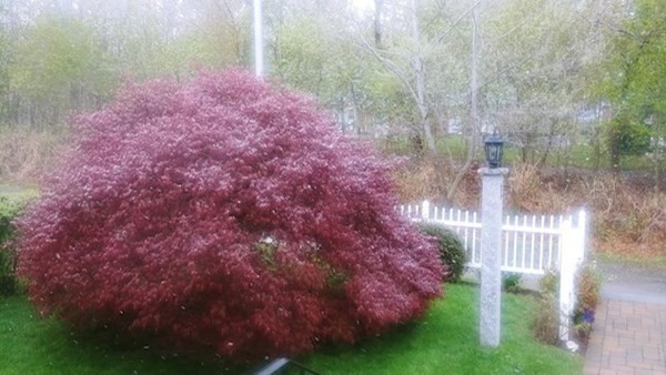 35 Baltic Road Worcester, MA 01607 - Photo 4 of 27 Gallery Image 4