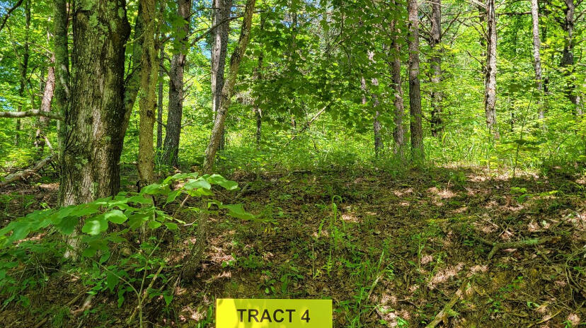 4100 Hazel Patch Road East Bernstadt, KY 40729 - Photo 1 of 4 IMG_4989