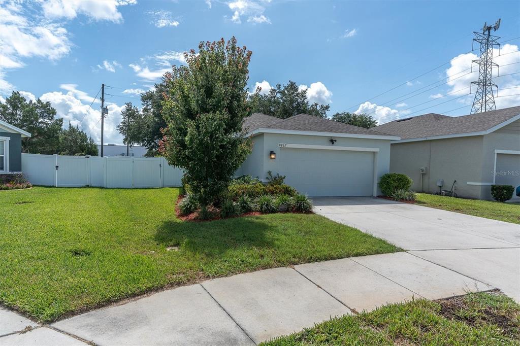8867 Prairie Creek Drive Trinity, FL 34655 - Photo 36 of 38