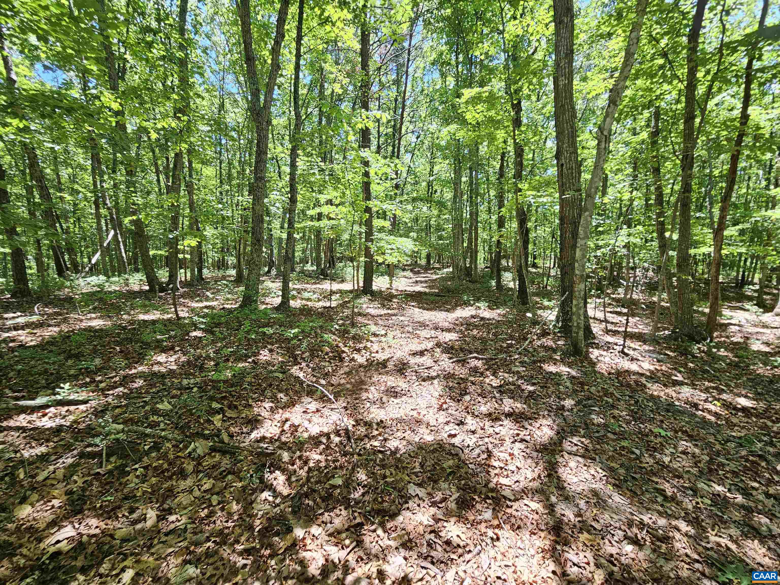 Manteo Road Buckingham, VA 23921 - Photo 17 of 19