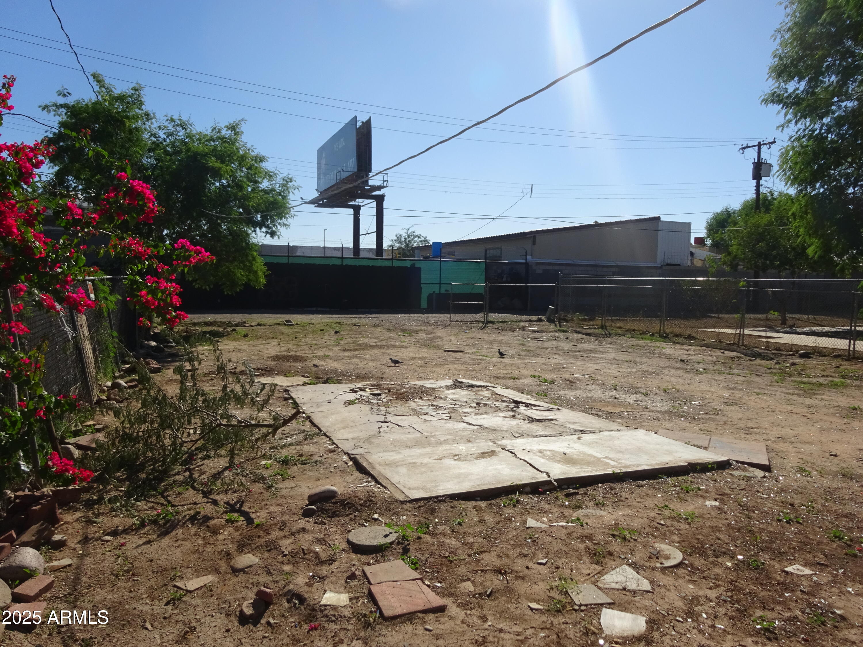 2821 East Adams Street Phoenix, AZ 85034 - Photo 12 of 17 a view of a backyard of the house