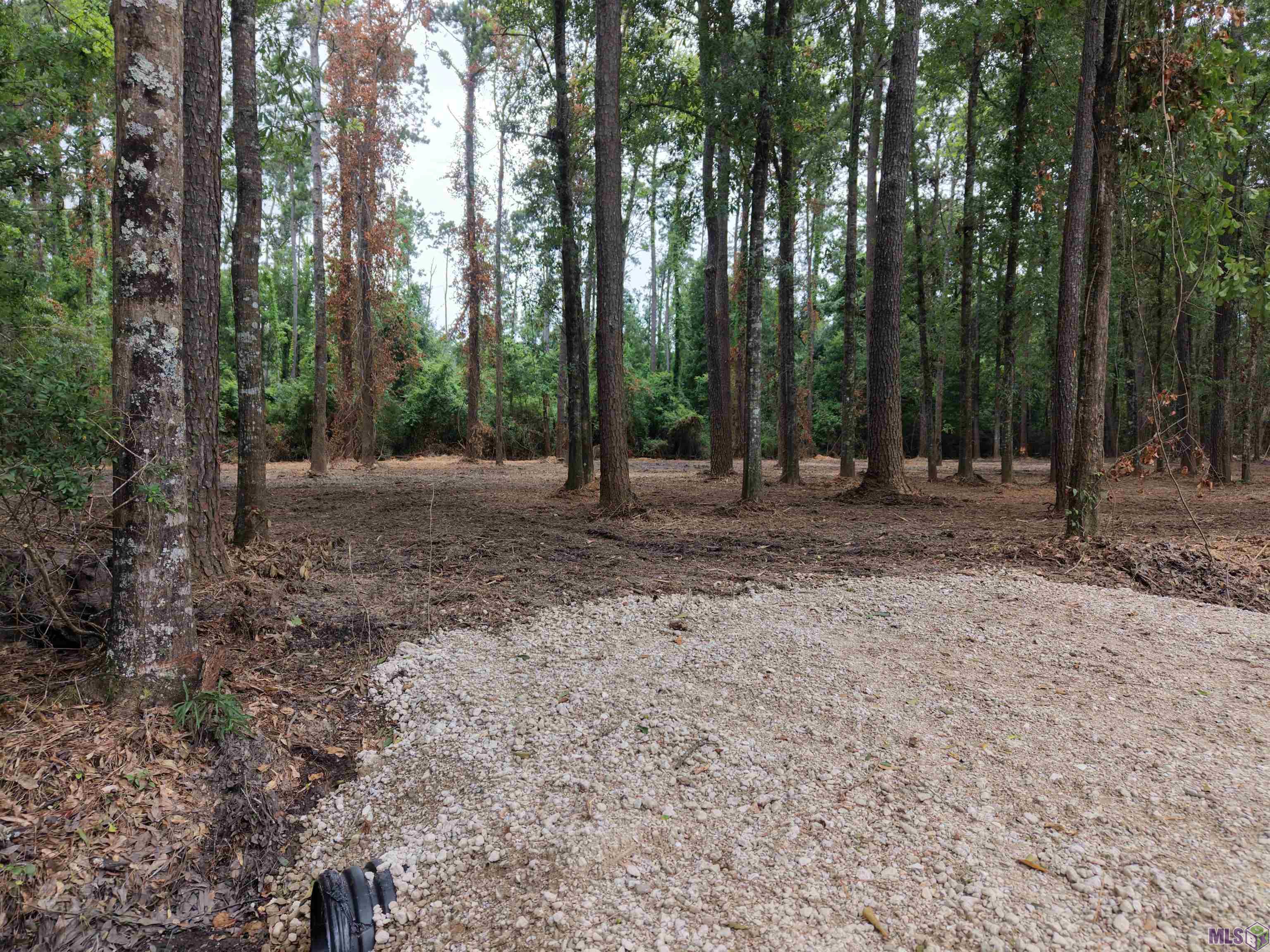 Tract C Esterbrook Road Ponchatoula, LA 70454 - Photo 8 of 13