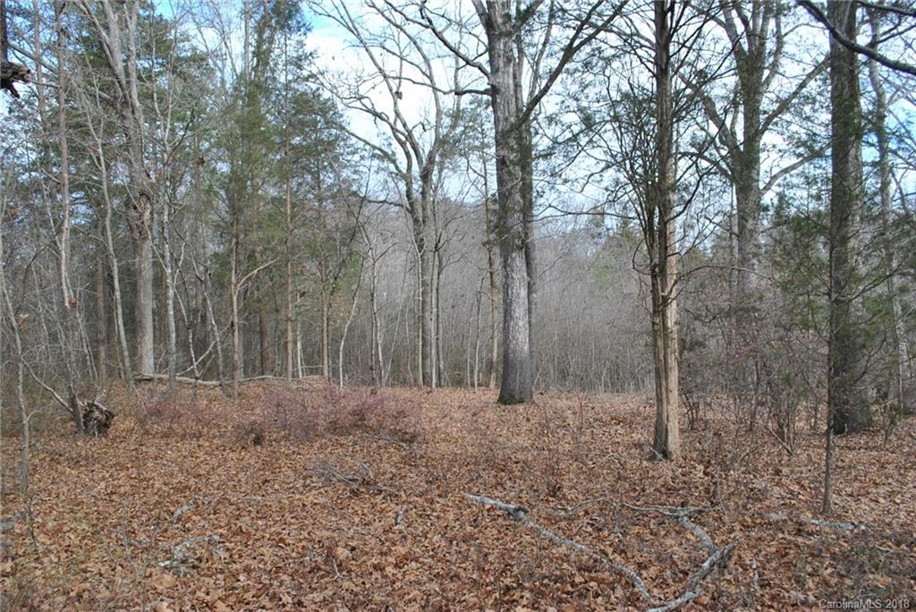 0 Reap Road Albemarle, NC 28001 - Photo 5 of 6 Gallery Image 5