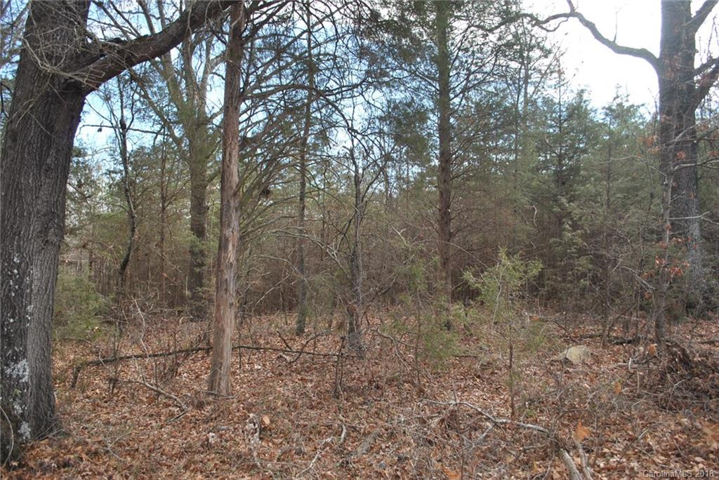 0 Reap Road Albemarle, NC 28001 - Photo 6 of 6 Gallery Image 6