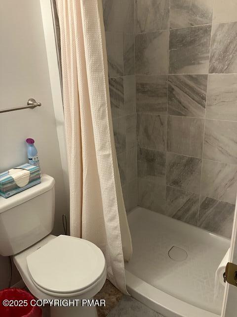 6 Iroquois Road Albrightsville, PA 18210 - Photo 13 of 16 a bathroom with a toilet and a shower