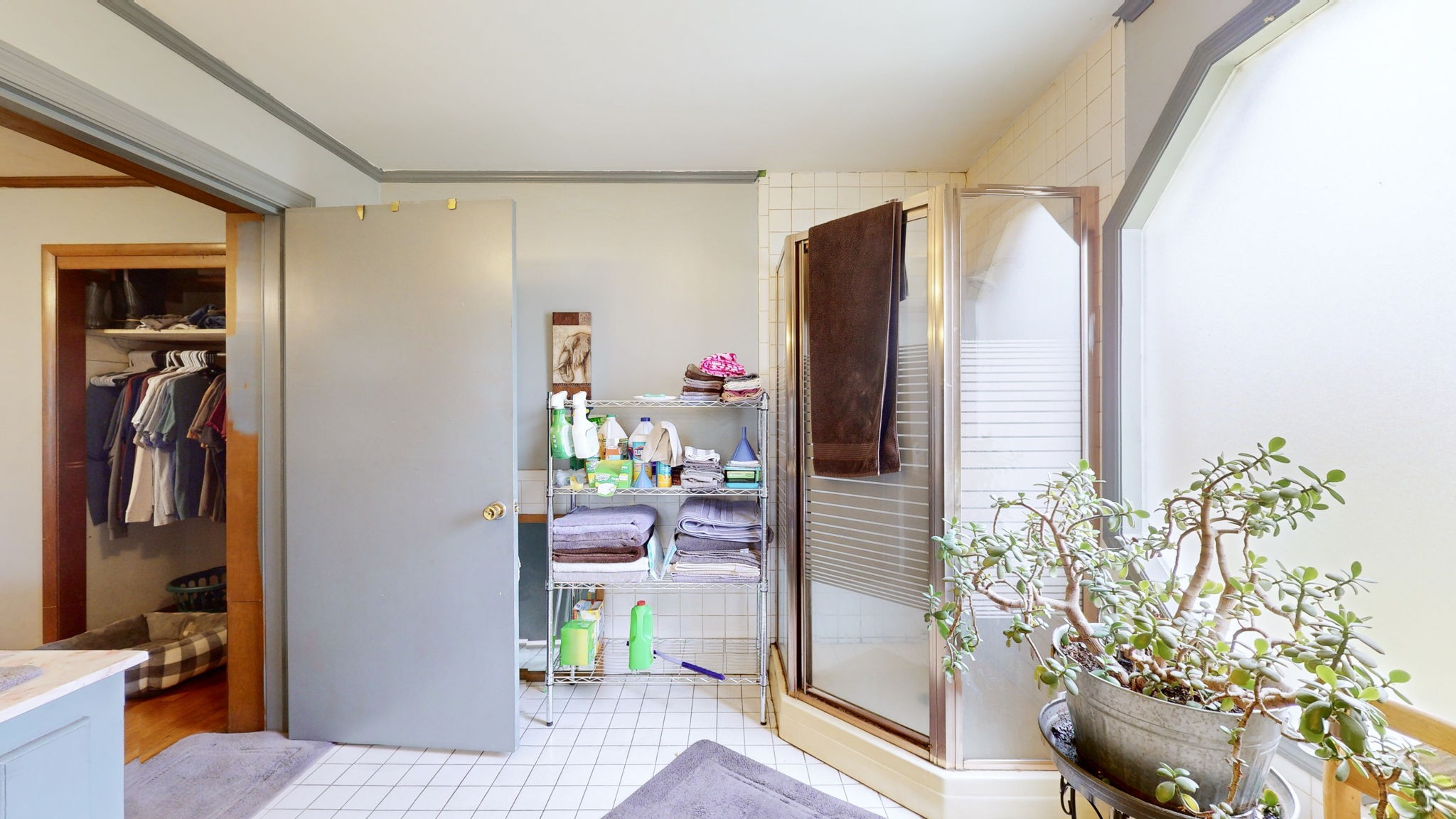 209 Bellwood Circle Dickson, TN 37055 - Photo 23 of 53 a bedroom with a bed and a potted plant