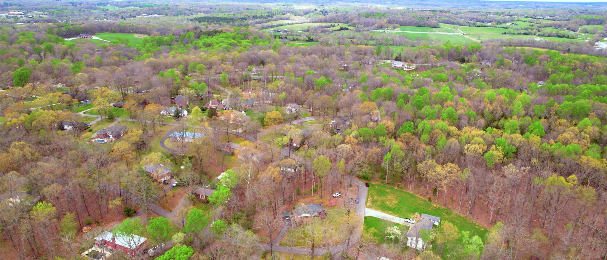 209 Bellwood Circle Dickson, TN 37055 - Photo 53 of 53 a backyard of a house with lots of green space