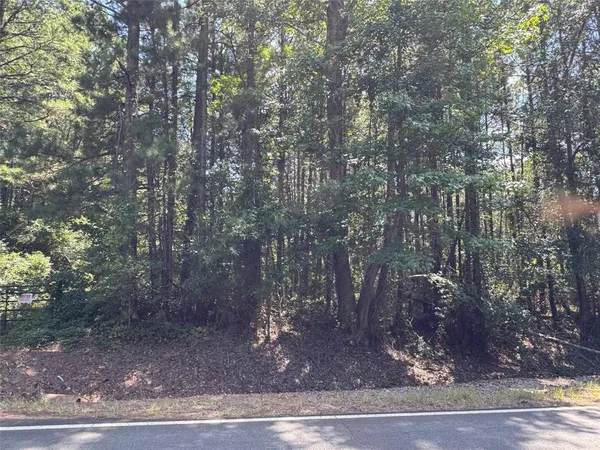 a view of a forest filled with trees
