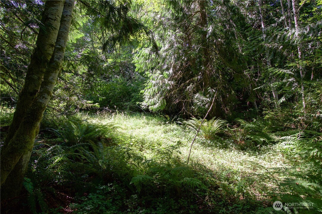 9999 North Eldridge Road Sequim, WA 98382 - Photo 21 of 30