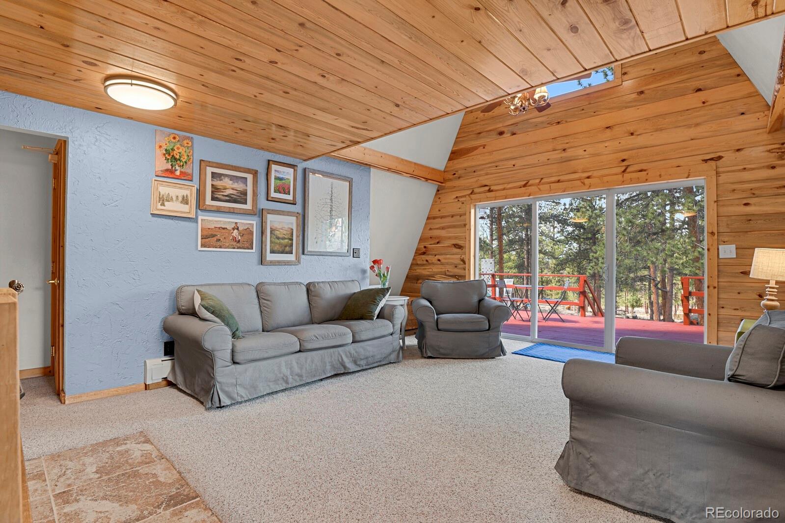 881 Trail Creek Road Lake George, CO 80827 - Photo 9 of 46