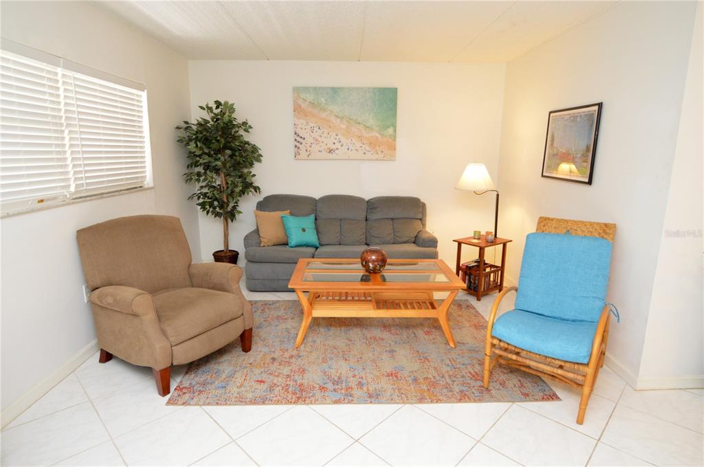 12760 Indian Rocks Road, Unit 1031 Largo, FL 33774 - Photo 18 of 85 a living room with furniture and a potted plant