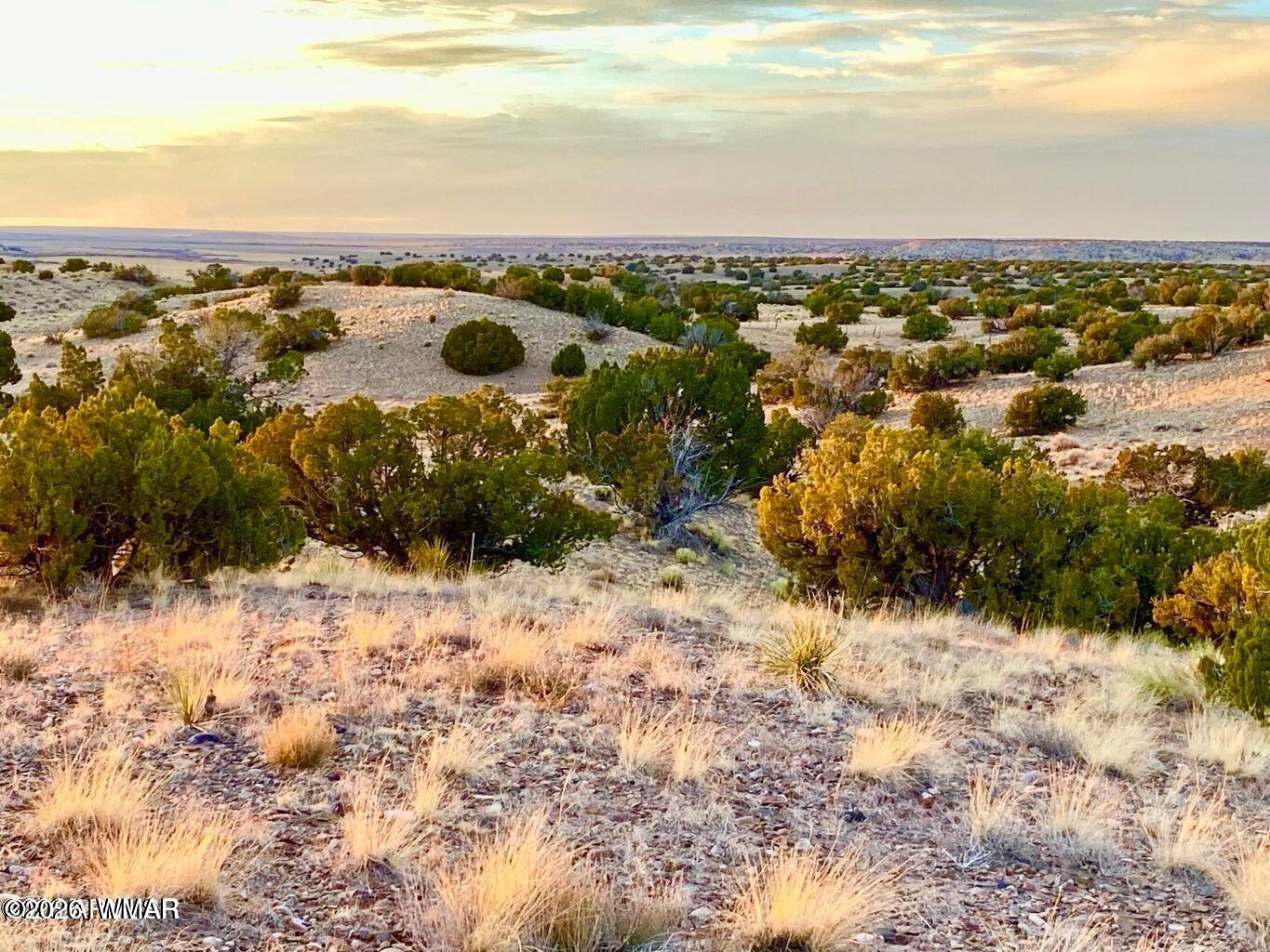 St-johns Az 85936 Ranch St. Johns, AZ 85936 - Photo 11 of 20