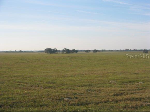 9 Southwest 140th Avenue Ocala, FL 34481 - Photo 1 of 1 Primary Photo