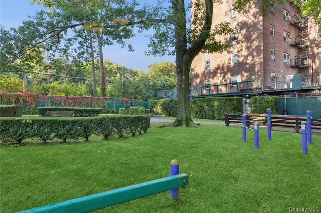 a view of a park with large trees