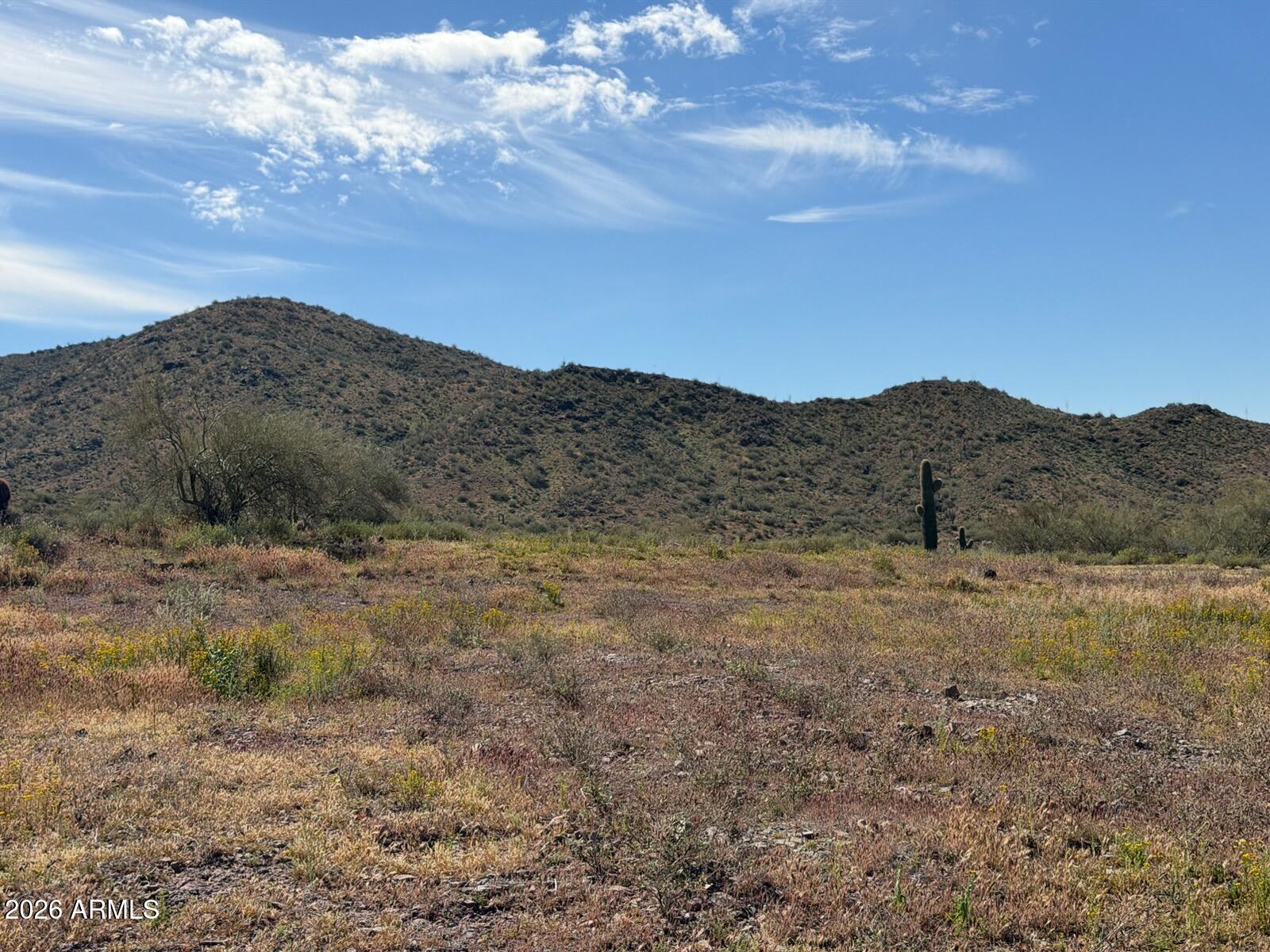 1111 East Honda Bow Road Phoenix, AZ 85086 - Photo 13 of 26 IMG_8770