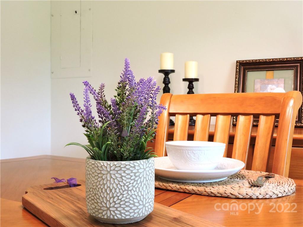 319 Onvil Road Mount Gilead, NC 27306 - Photo 20 of 46 Gallery Image 20