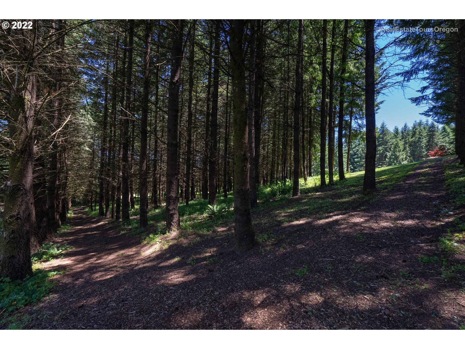 1492 Southwest Borland Road West Linn, OR 97068 - Photo 12 of 29 Gallery Image 12