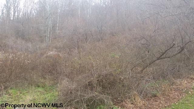 Brush Run Mannington, WV 26582 - Photo 4 of 4 Gallery Image 4