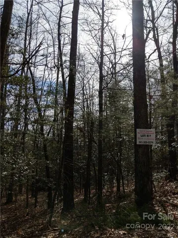 $23,900 | 0 Dogwood Lane, Unit E7, Penrose, NC 28766