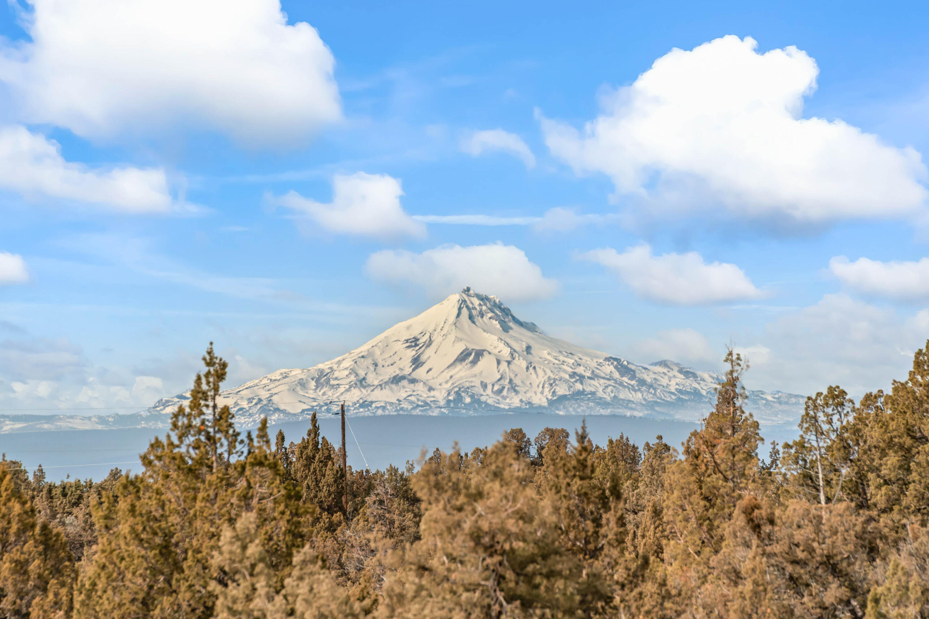 18385 Southwest Mount Adams Loop Powell Butte, OR 97753 - Photo 45 of 59 41