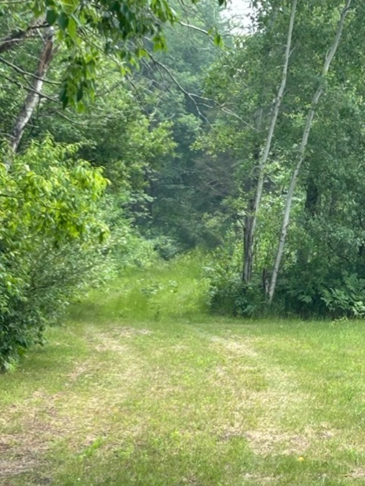 V/l South Grout Road Gladwin, MI 48624 - Photo 23 of 29