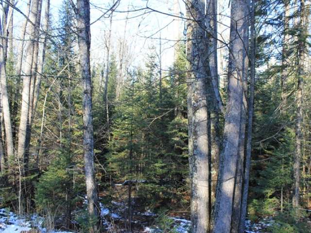 On On Cth G, Unit LT11 Mercer, WI 54547 - Photo 12 of 12 Gallery Image 12
