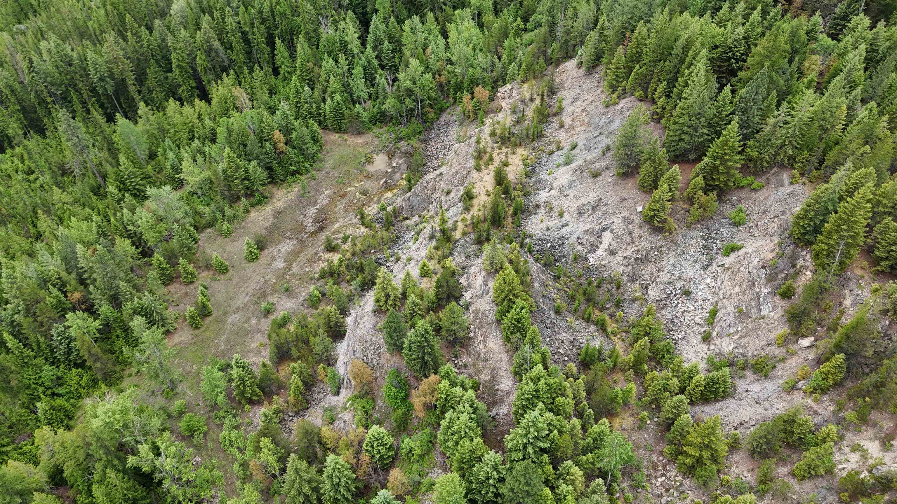 Nka Nka Boundary Road Colville, WA 99114 - Photo 20 of 41
