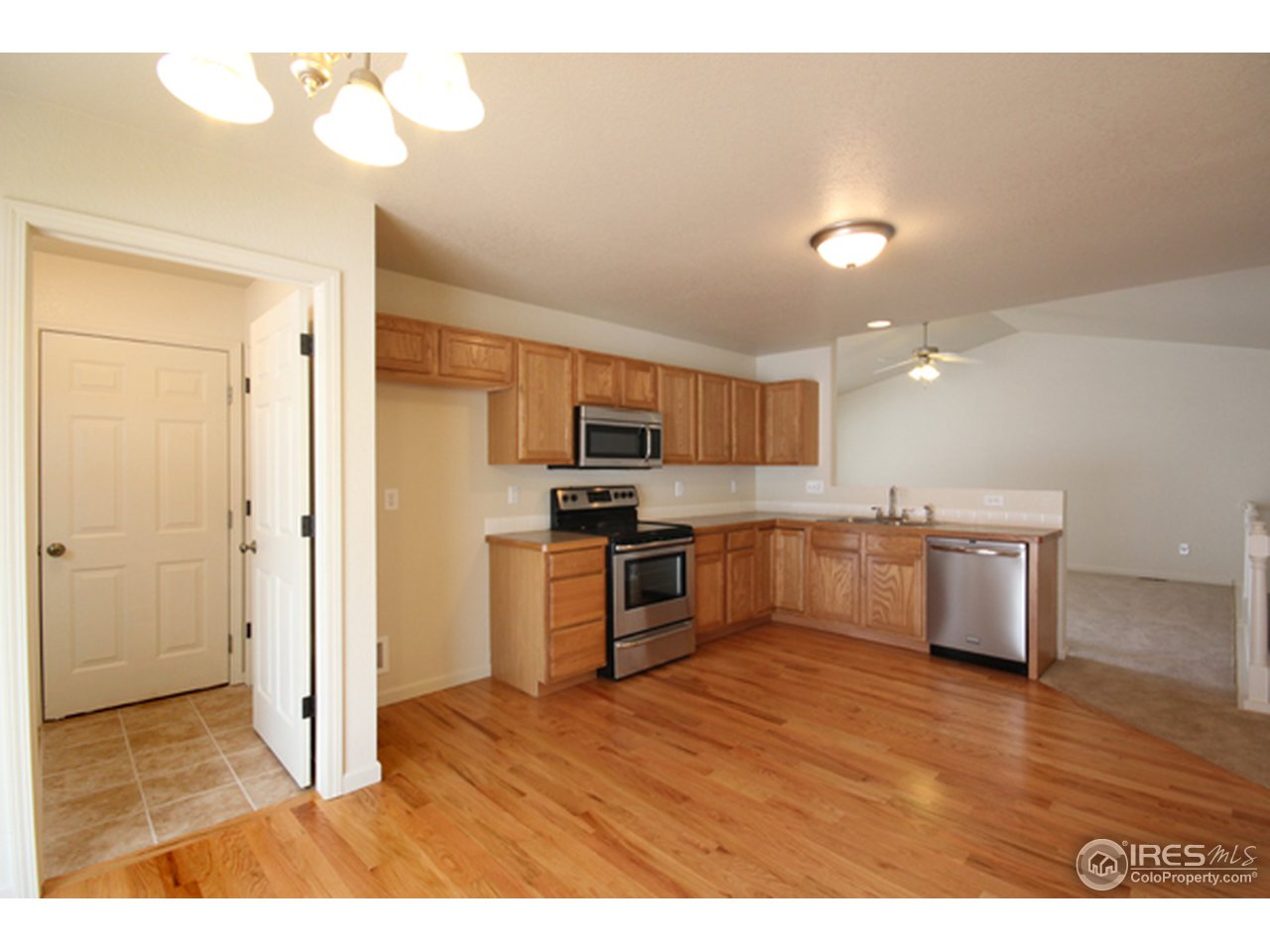 7013 Raleigh Street Wellington, CO 80549 - Photo 3 of 17 Gallery Image 3