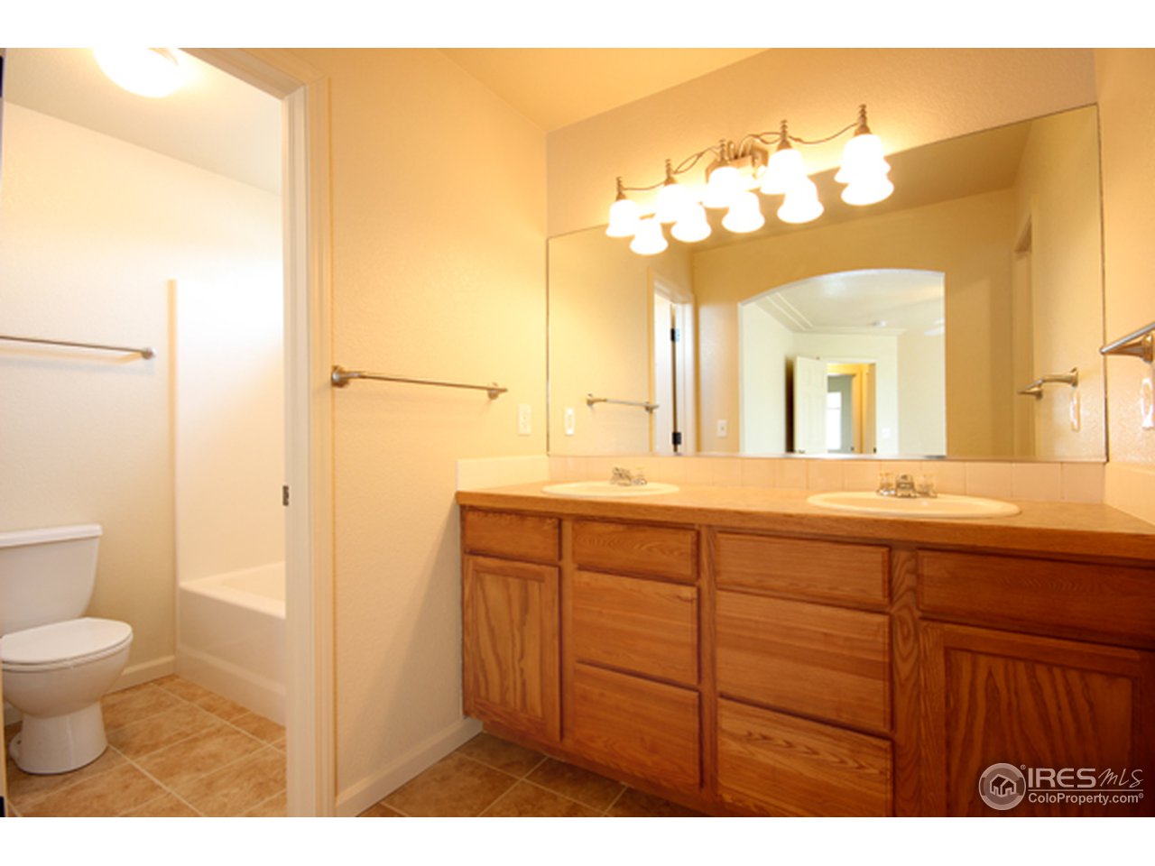 7013 Raleigh Street Wellington, CO 80549 - Photo 8 of 17 Gallery Image 8