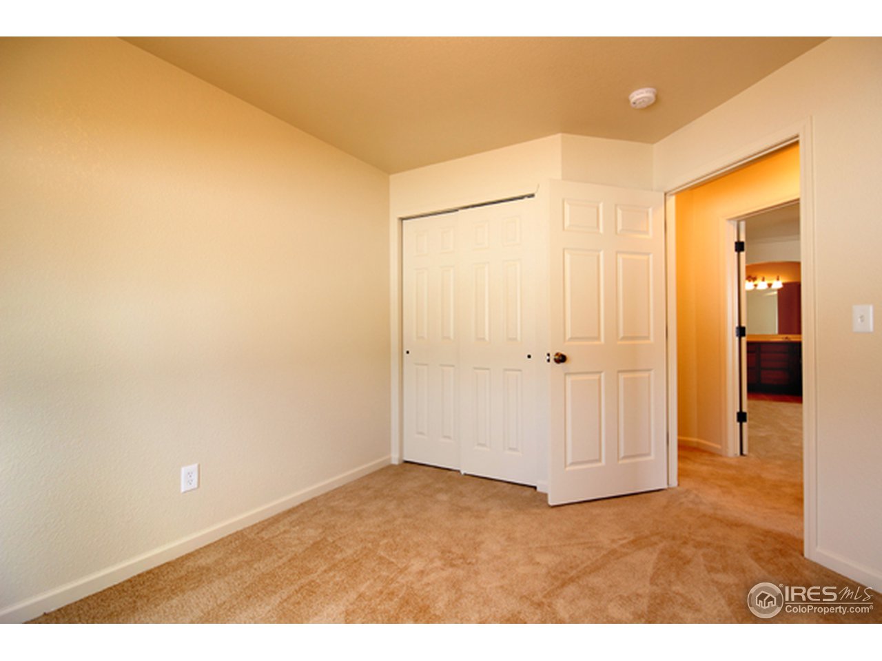 7013 Raleigh Street Wellington, CO 80549 - Photo 9 of 17 Gallery Image 9