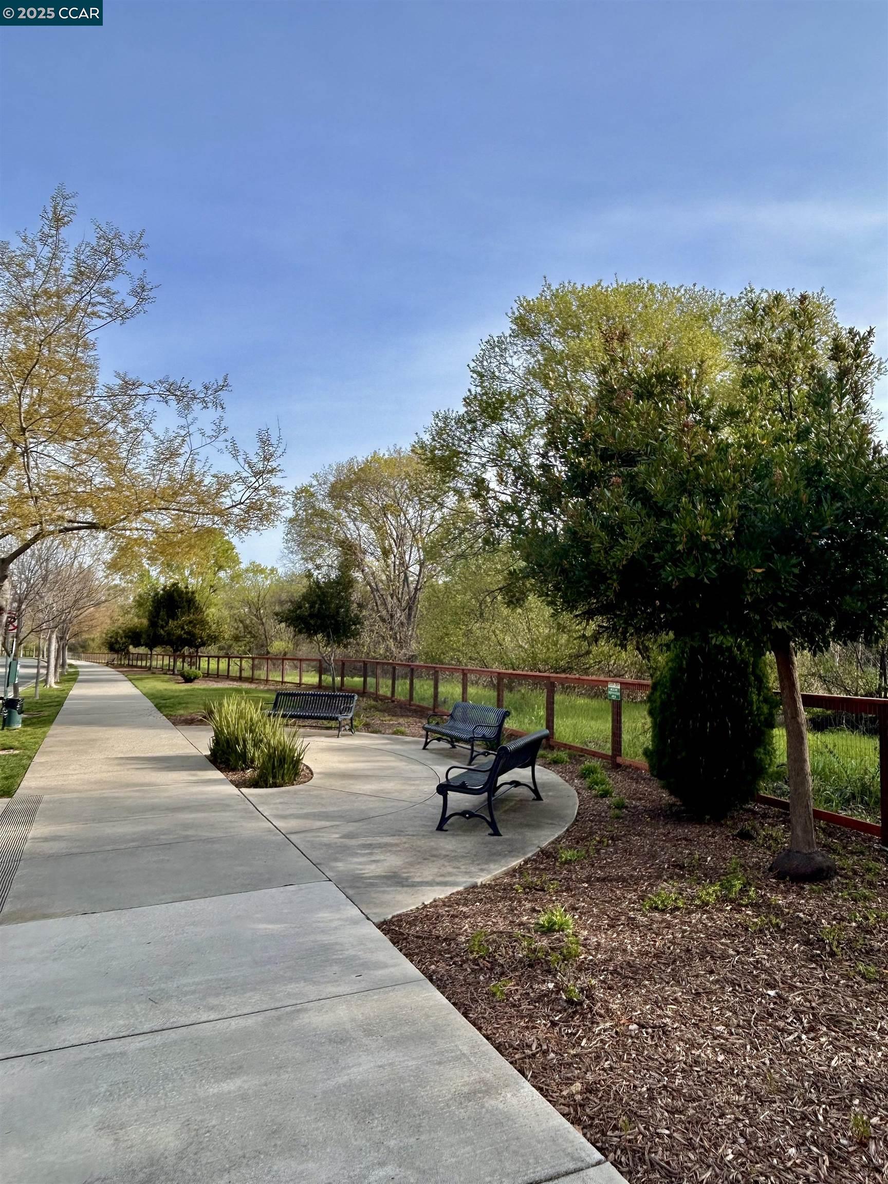 2036 Serra Lane Hercules, CA 94547 - Photo 51 of 60 a view of a park with large trees