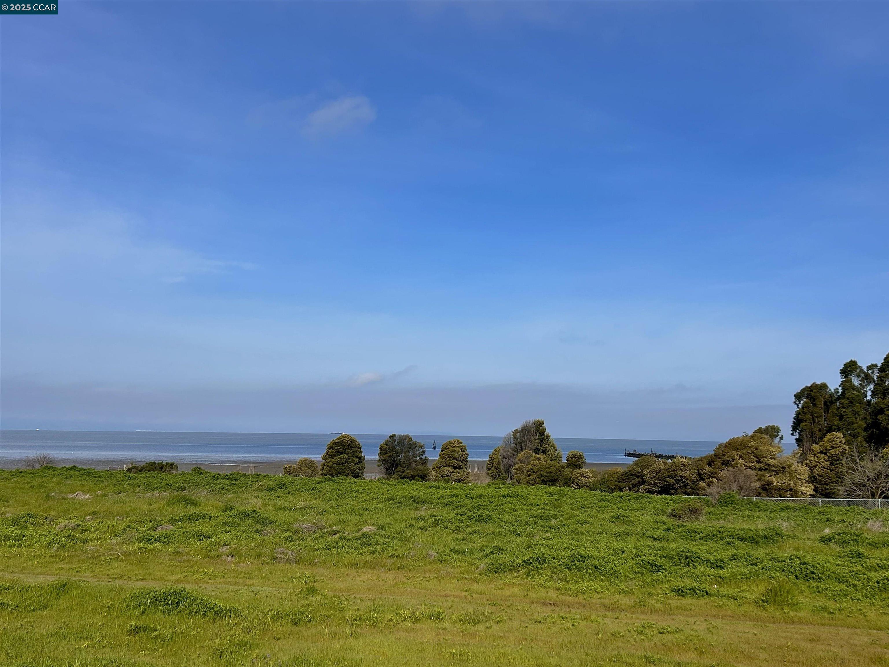 2036 Serra Lane Hercules, CA 94547 - Photo 57 of 60 a view of a field with an ocean and trees in the background