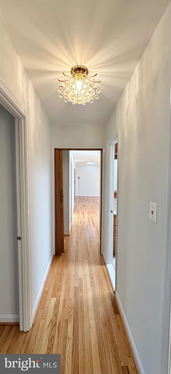 4567 25th Road North Arlington, VA 22207 - Photo 38 of 54 Gallery Image 38