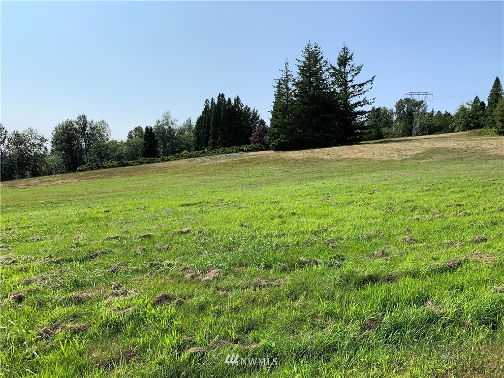 0 Brown Road Ferndale, WA 98248 - Photo 1 of 6