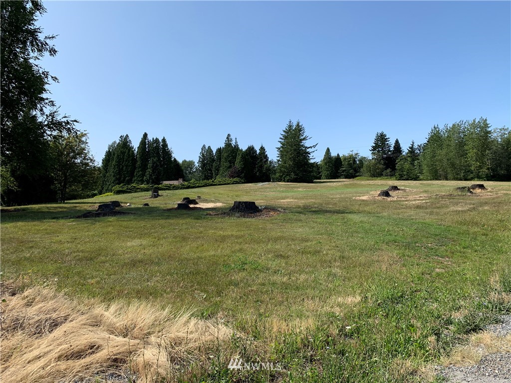 0 Brown Road Ferndale, WA 98248 - Photo 4 of 6