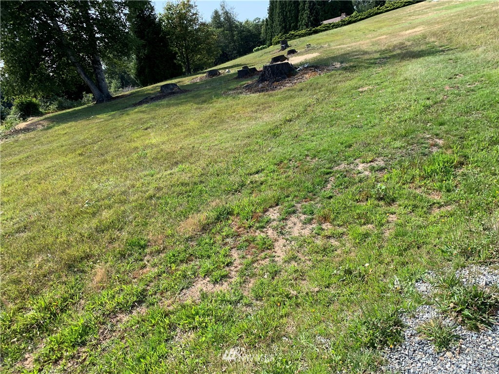 0 Brown Road Ferndale, WA 98248 - Photo 6 of 6