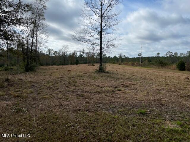 0 Sues Road Kiln, MS 39556 - Photo 2 of 9 IMG_5342