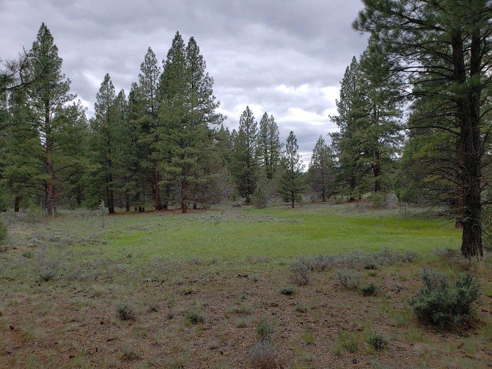 0 24 Bamford Road Bly, OR 97622 - Photo 5 of 19 Additional Photo