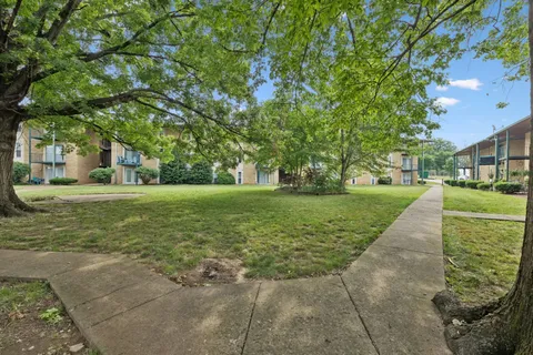 a view of a park with large trees