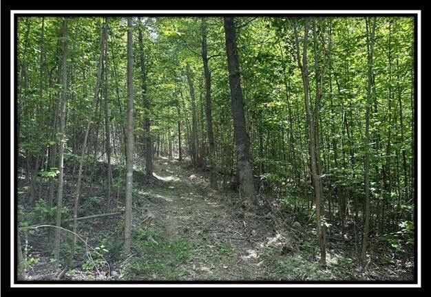167 Weaver Road, Unit TRACT A) Chillicothe, OH 45601 - Photo 28 of 45 image028