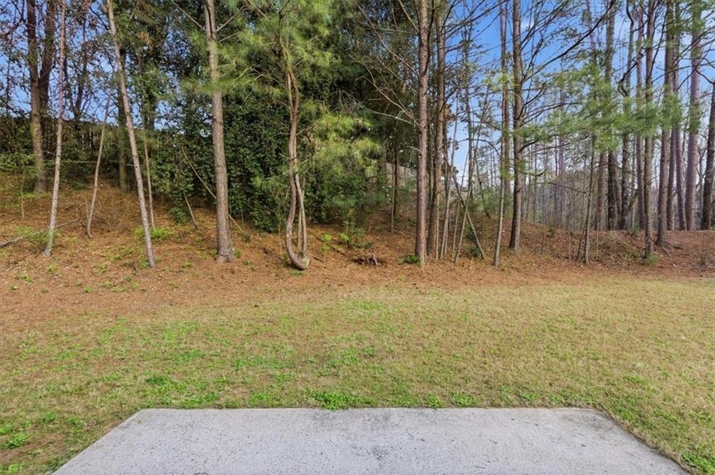 836 Topaz Valley Canton, GA 30114 - Photo 32 of 33 a view of outdoor space with trees