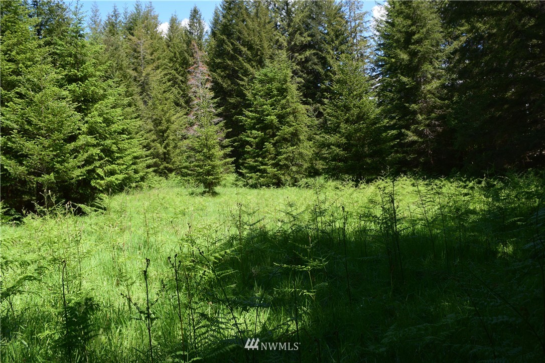 25 Lords Lake Loop Road Quilcene, WA 98376 - Photo 1 of 13