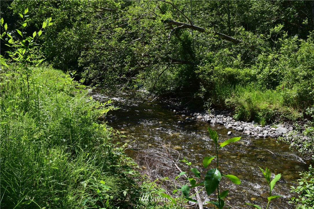 25 Lords Lake Loop Road Quilcene, WA 98376 - Photo 4 of 13