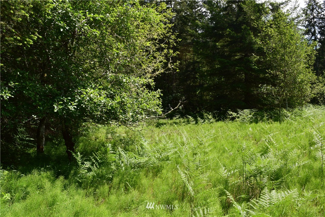 25 Lords Lake Loop Road Quilcene, WA 98376 - Photo 5 of 13