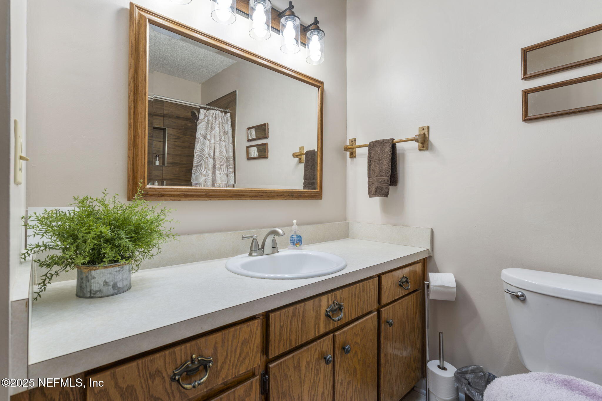 5893 George Hodges Road Macclenny, FL 32063 - Photo 28 of 56 a bathroom with a sink a toilet and mirror