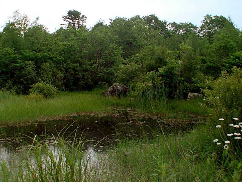 19-14 Fox Farm Road Biddeford, ME 04005 - Photo 11 of 12 Land/Lot. Man Made Pond