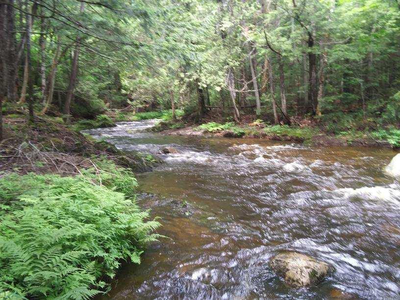 1661 Ludlow Road Houlton, ME 04730 - Photo 55 of 63 image0000036666