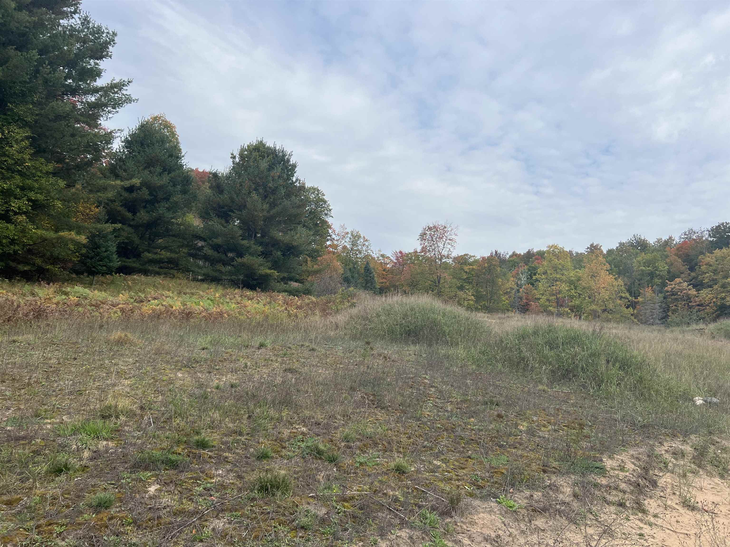 90 A Ridgeview Drive Kalkaska, MI 49646 - Photo 31 of 75