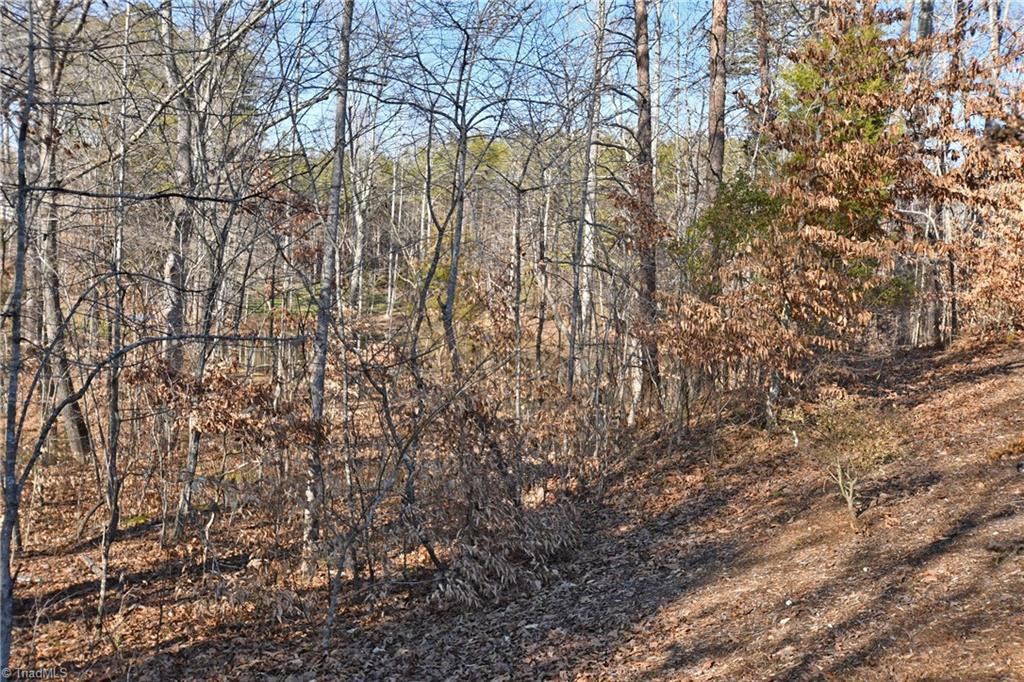 121 Mountain Ridge Court King, NC 27021 - Photo 24 of 28 Gallery Image 24
