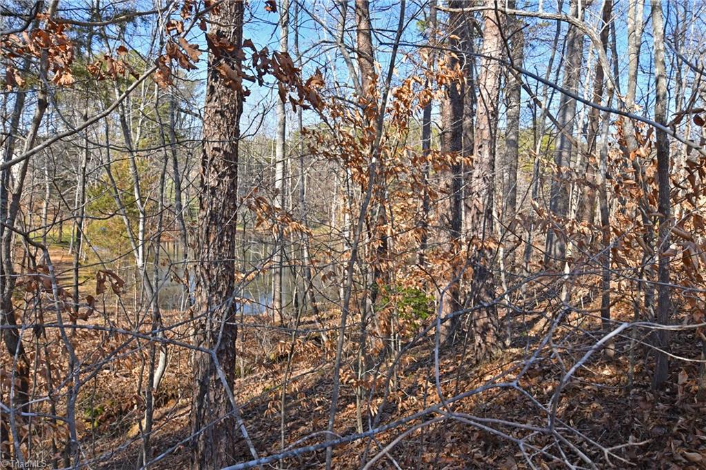 121 Mountain Ridge Court King, NC 27021 - Photo 25 of 28 Gallery Image 25